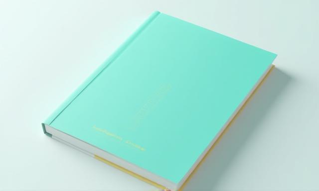 Cover page of the Installation Guide PDF